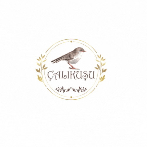 preloader